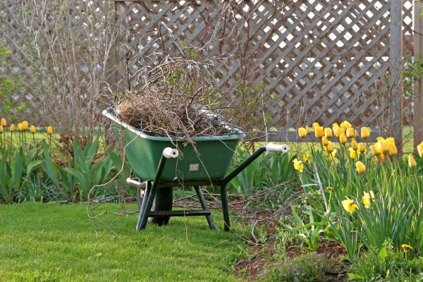 Flower Bed Cleanup Service in Madera