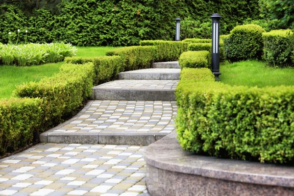 Backyard Remodeling in Madera