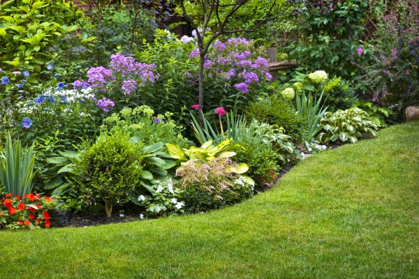 Flower Bed Service in Madera