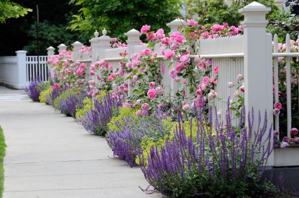 Garden Handyman Service in Madera
