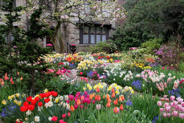 Garden Maintenance Service in Madera
