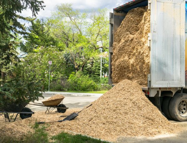 Wood Chips Delivery in Madera