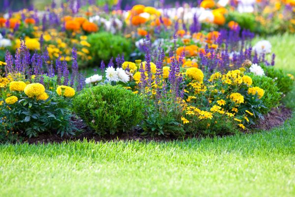 Garden Installation in Madera