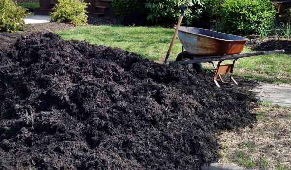Black Mulch Delivery in Madera