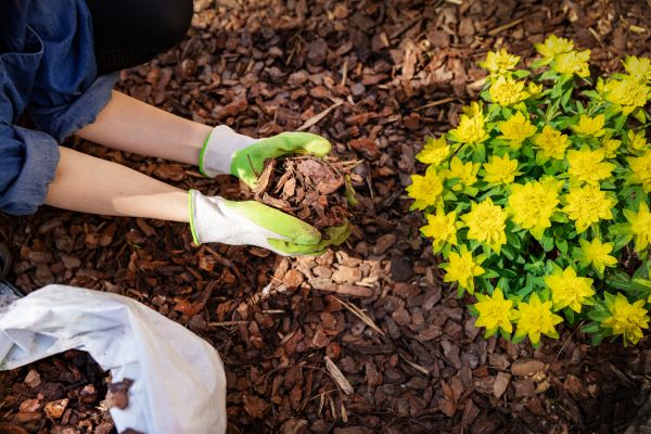 Garden Mulching in Madera