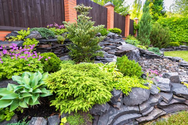 Landscape Remodeling in Madera