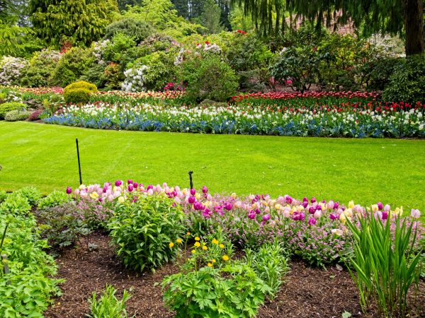 Residential Landscape Design in Madera