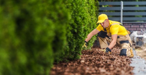 Cypress Mulch Installation in Madera