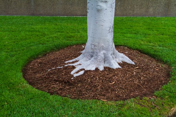 Brown Mulch Installation in Madera