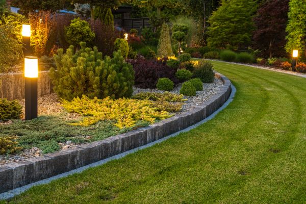 Garden Repair Service in Madera