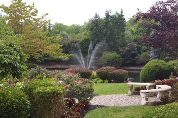 Courtyard Design Service in Madera