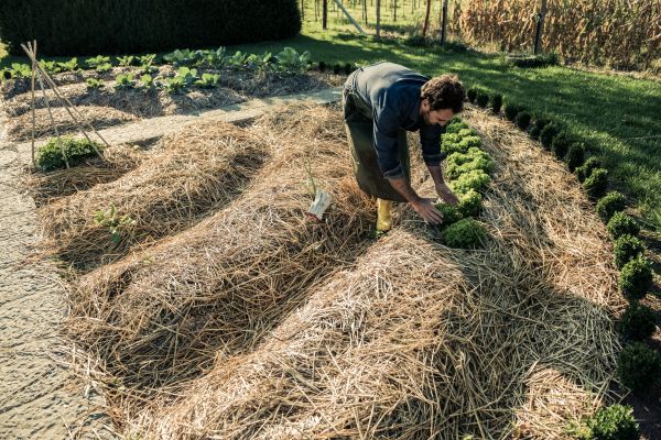 Straw Mulching Service in Madera