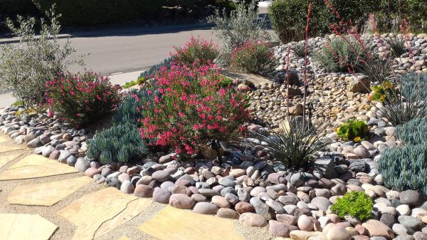 Xeriscape Landscaping in Madera