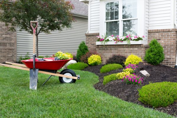 Tree And Shrub Planting in Madera