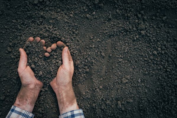 Soil Installation in Madera