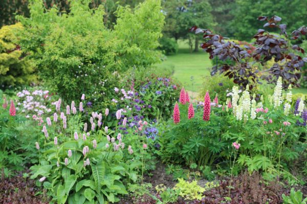 Flower Bed Planting in Madera