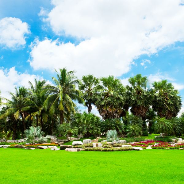 Tropical Landscaping in Madera