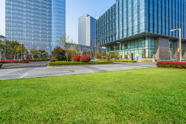 Industrial Landscaping Service in Madera