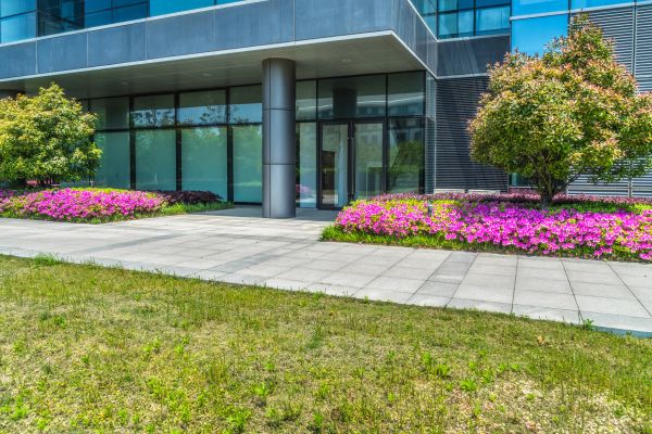 Commercial Gardening in Madera