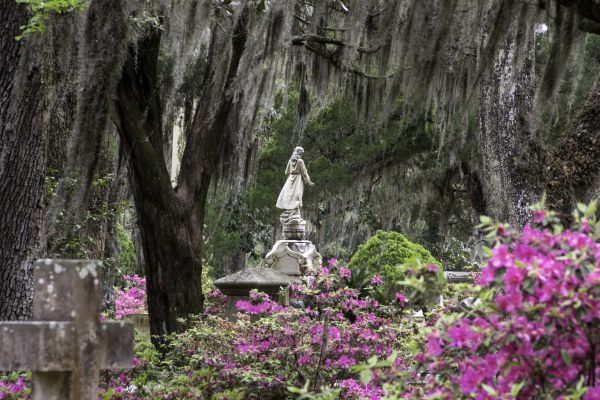 Cemetery Landscaping in Madera