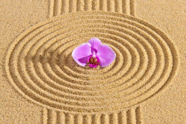 Sand Garden Landscaping in Madera