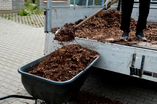 Cypress Mulch Delivery in Madera