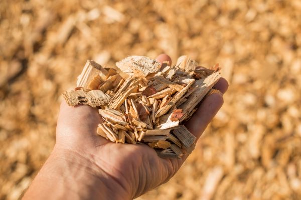 Wood Chips Spreading in Madera