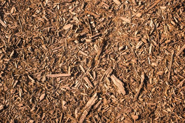 Wood Chips Removal in Madera
