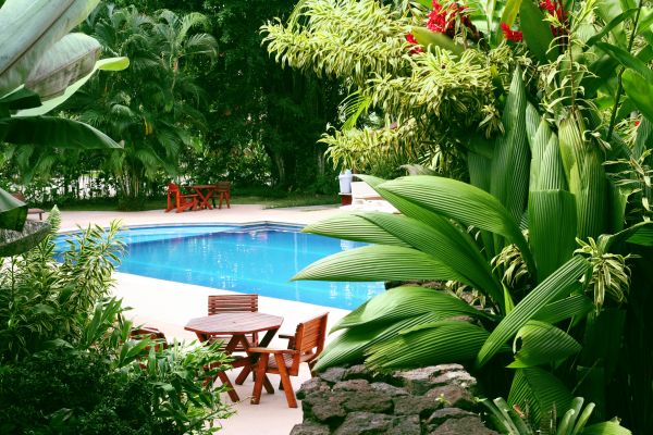 Pool Area Landscaping in Madera