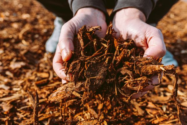 Bark Chips Delivery in Madera