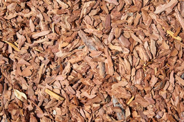 Pine Mulch Spreading in Madera
