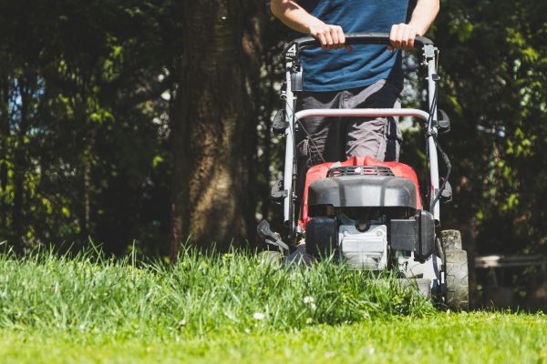 Garden Trimming Service in Madera