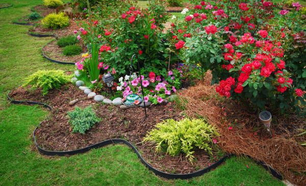Floral Landscaping in Madera