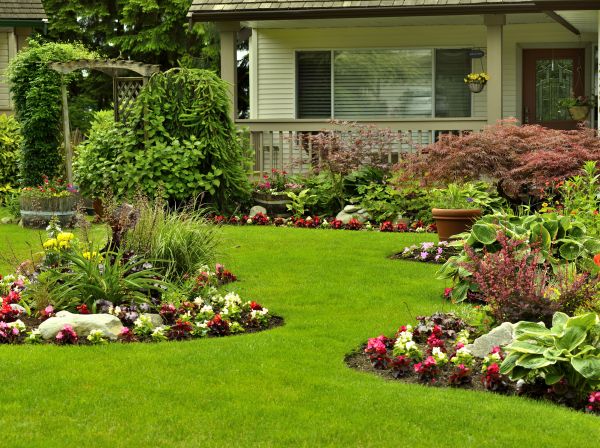 Flower Garden Planting in Madera