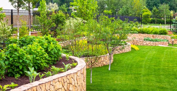 Yard Makeover Service in Madera
