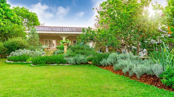 Greenery Planting in Madera