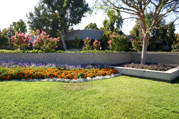 Commercial Landscape Service in Madera