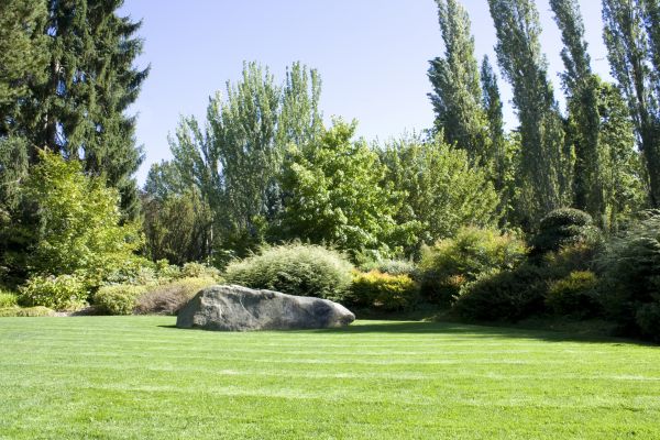 Yard Enlargement in Madera