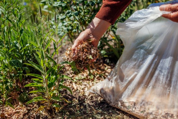 Wood Mulch Installation in Madera