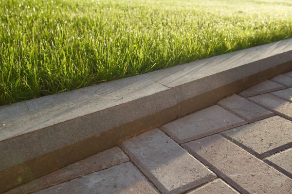Lawn Edging Replacement in Madera