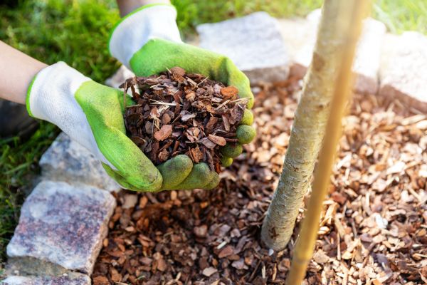 Tree Bark Delivery in Madera