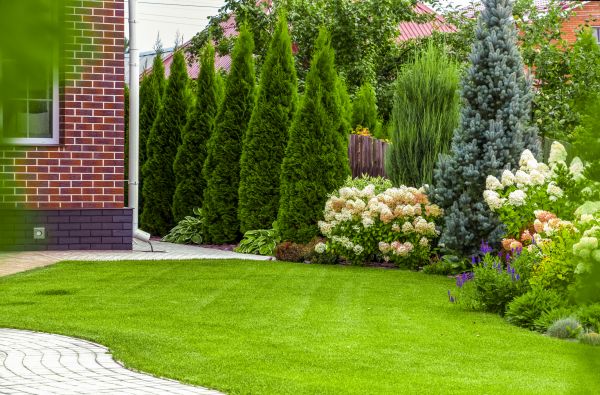 Spring Landscaping in Madera