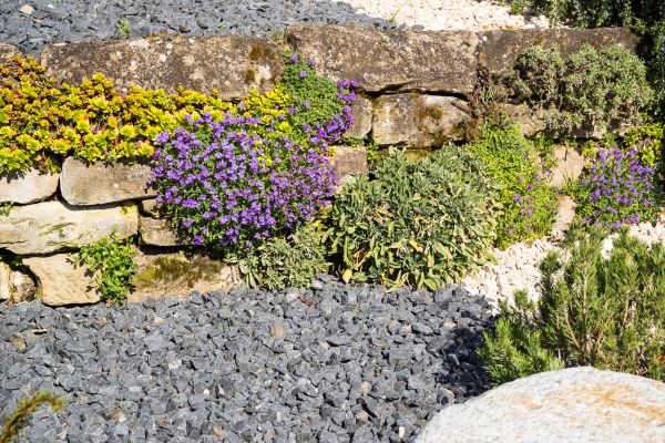 Landscaping Rocks Installation in Madera