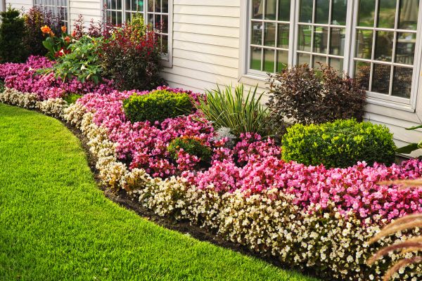 Garden Landscape Design in Madera