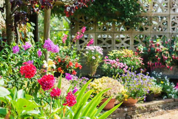 Spring Garden Maintenance in Madera