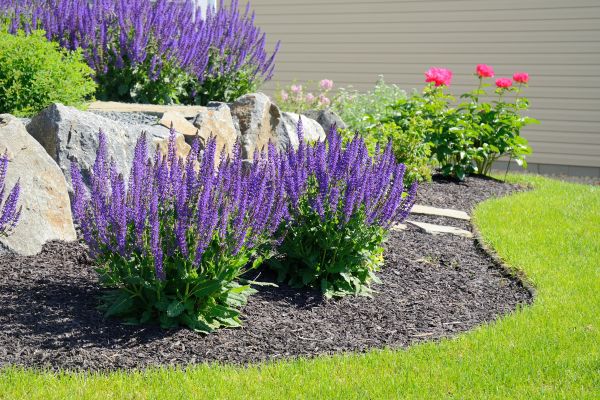 Landscape Planting Service in Madera