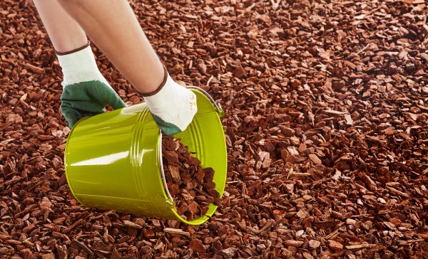 Wood Chip Landscaping in Madera