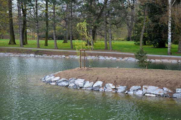 Pond Landscaping Service in Madera