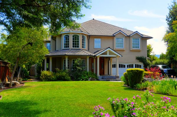 Large Yard Landscaping in Madera