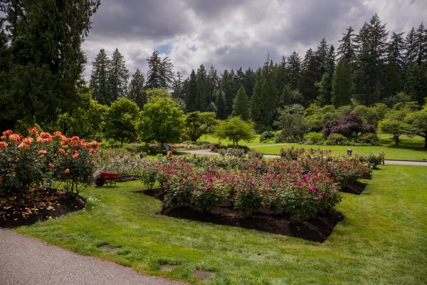 Flower Garden Landscaping in Madera
